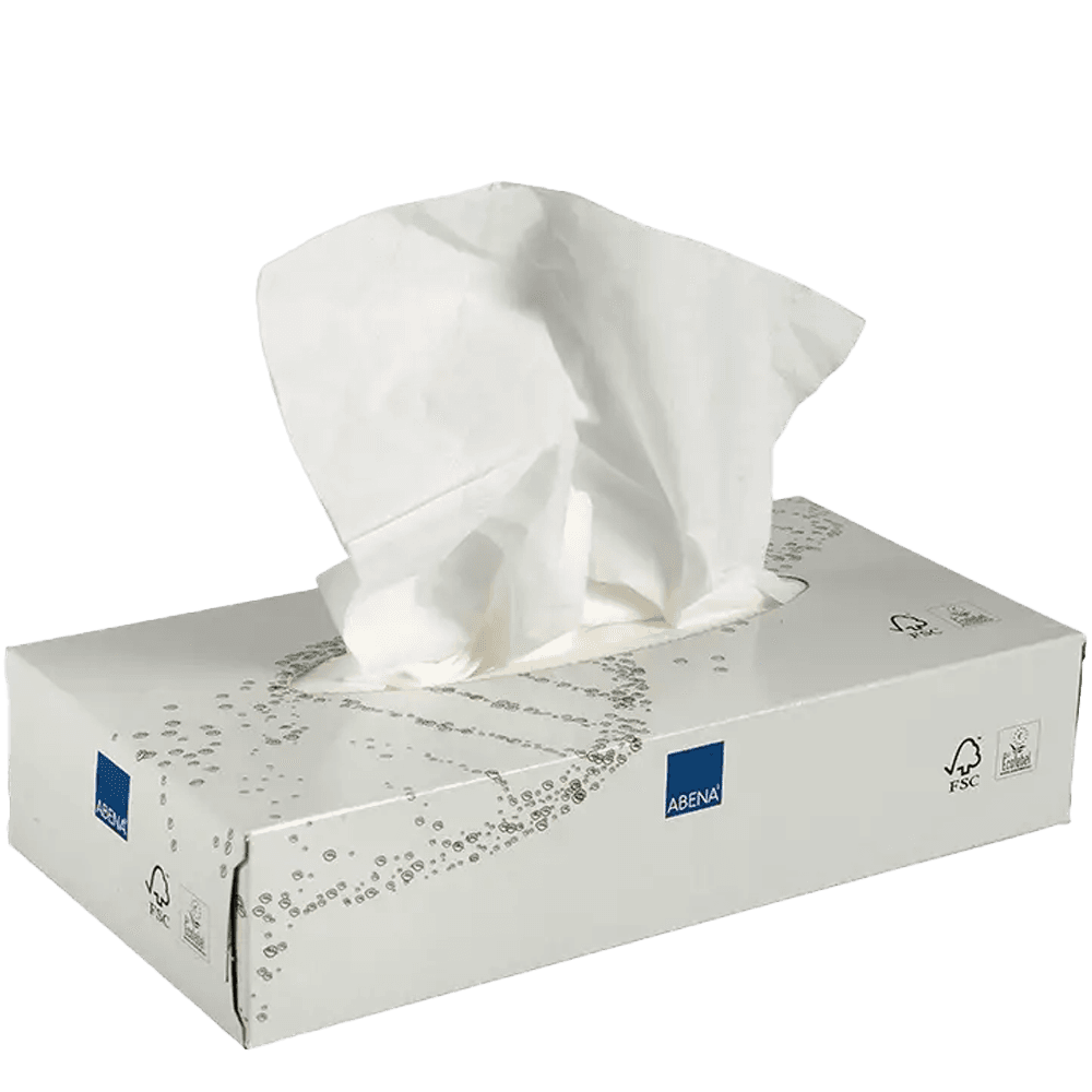 4 Pakken Facial Tissues 2-laags 100 vel 100% Cellulose