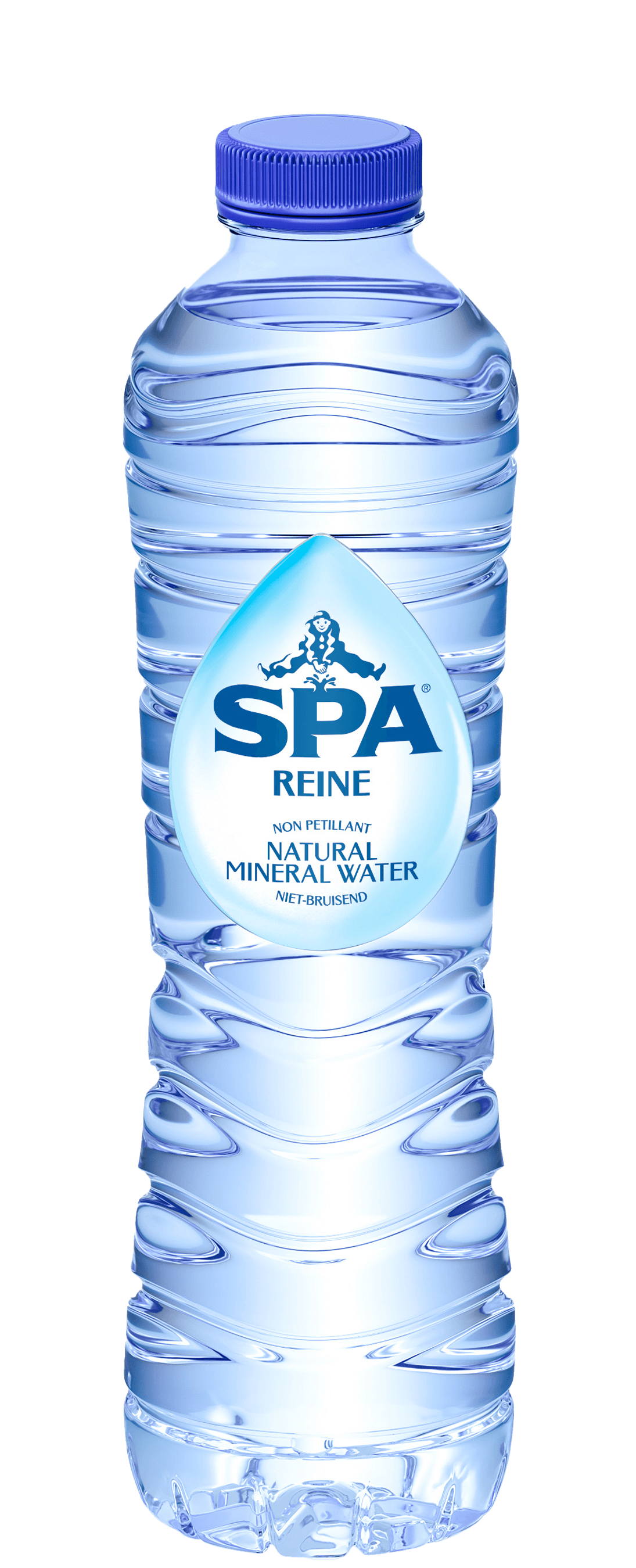 6 flessen Spa Blauw 0,5L