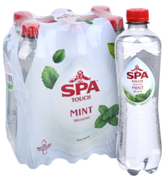 6-Pack Spa Touch Sparkling Munt 500ml