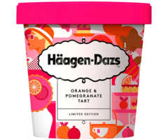 Häagen-Dasz Pint Orange Pomegranate 460ml